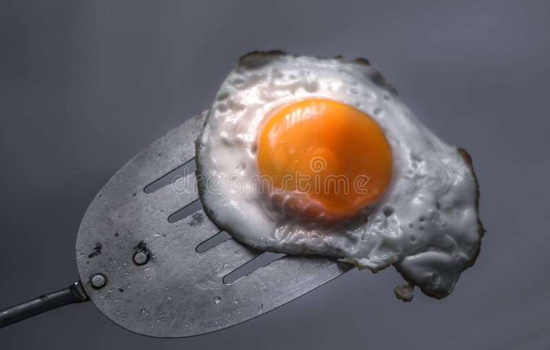 Fried egg and spatula stock photo. Image of object, yolk 116429400