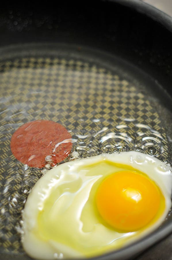 Sunflower Seat Oil Stock Photos Free & RoyaltyFree Stock Photos from