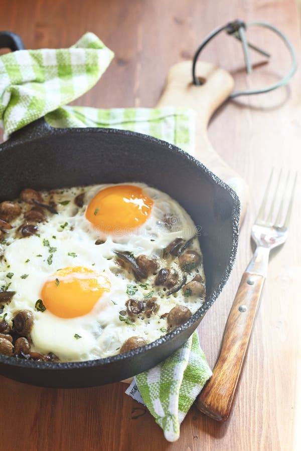 Fried eggs with mushrooms stock photo. Image of full - 42554212