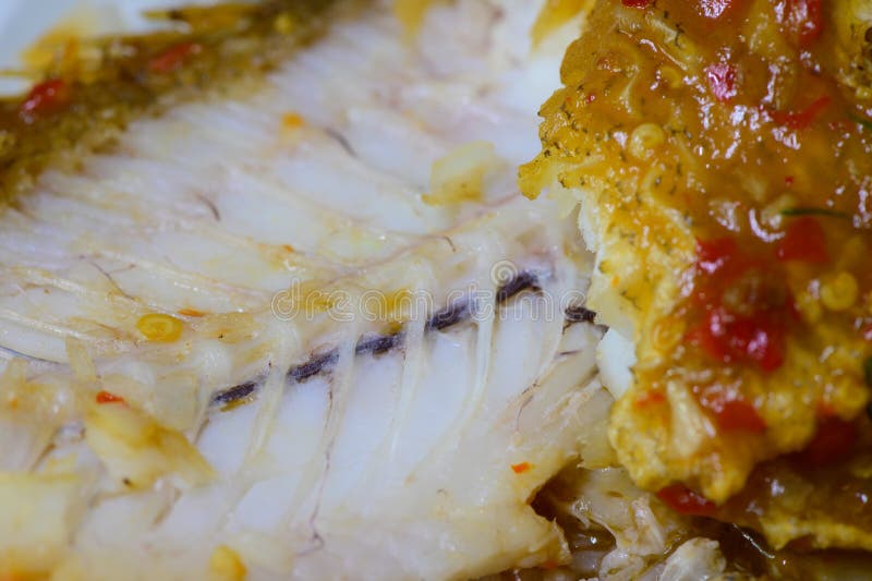 Fried Fish Bone after Finish Eating Stock Photo Image of healthy