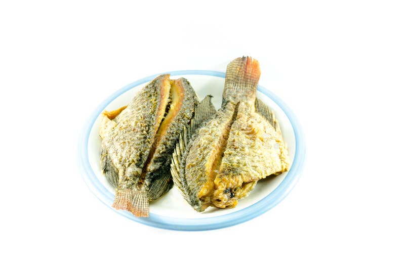 Fried fish in dish on white background