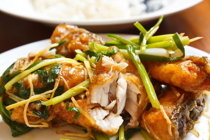 Fried Fish Fillet with Ginger. Stock Photo Image of roasted, white