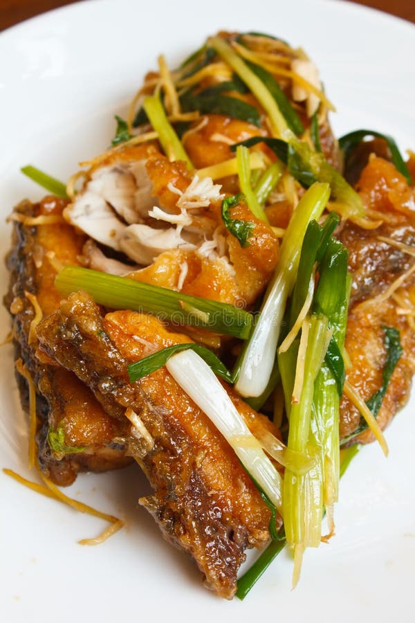 Fried Fish Fillet with Ginger. Stock Image Image of dinner, garnish