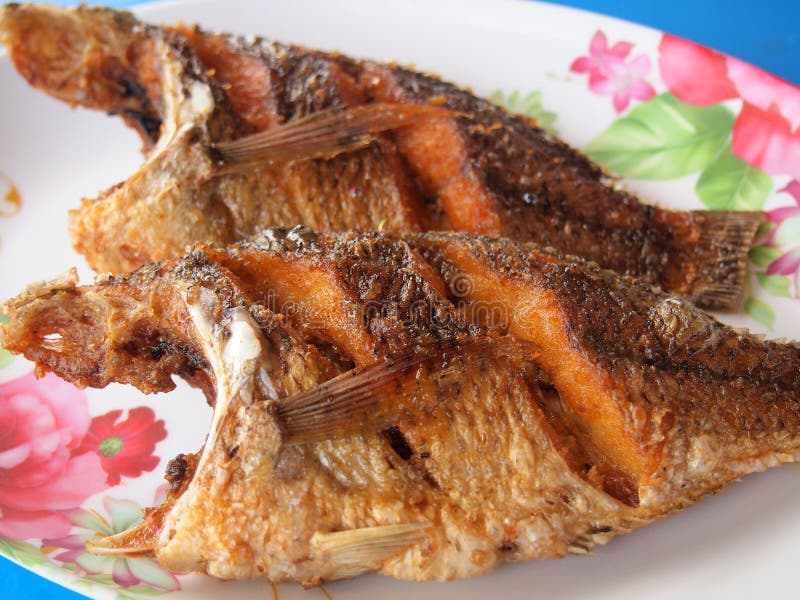 Fried fish on plate stock image. Image of fresh, lunch 166437819
