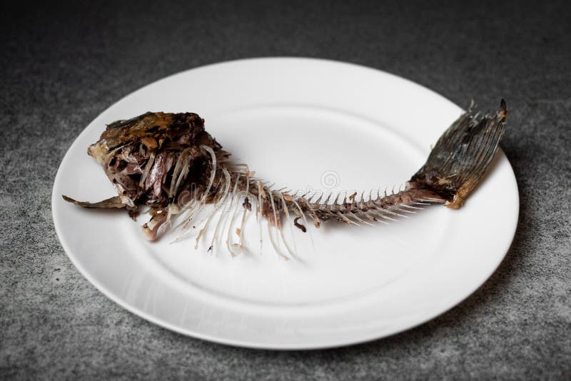 Fried Fish Skeleton, Spine and Bones on a White Plate Stock Image