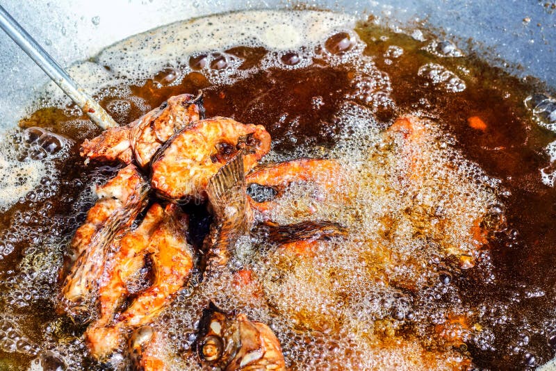 Fried Fish with Vegetable Oil Boil Stock Image Image of boil, point