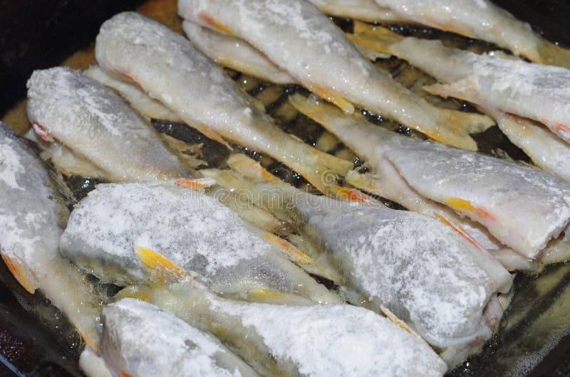 Fried fishes royalty free stock image