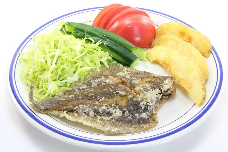 Fried flounder stock image. Image of turbot, healthy 24644485