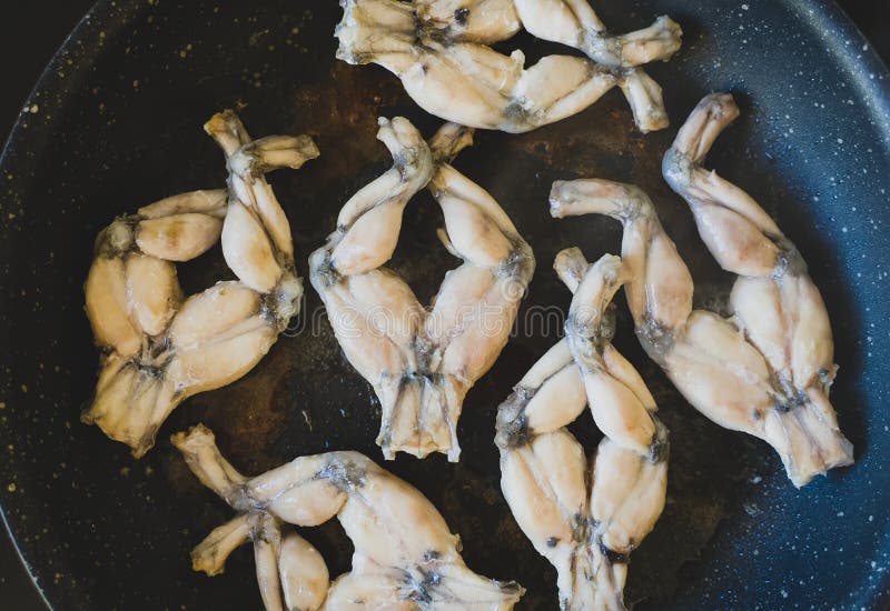 Fried Frog Legs on Pan. Top View Stock Photo Image of culture, france