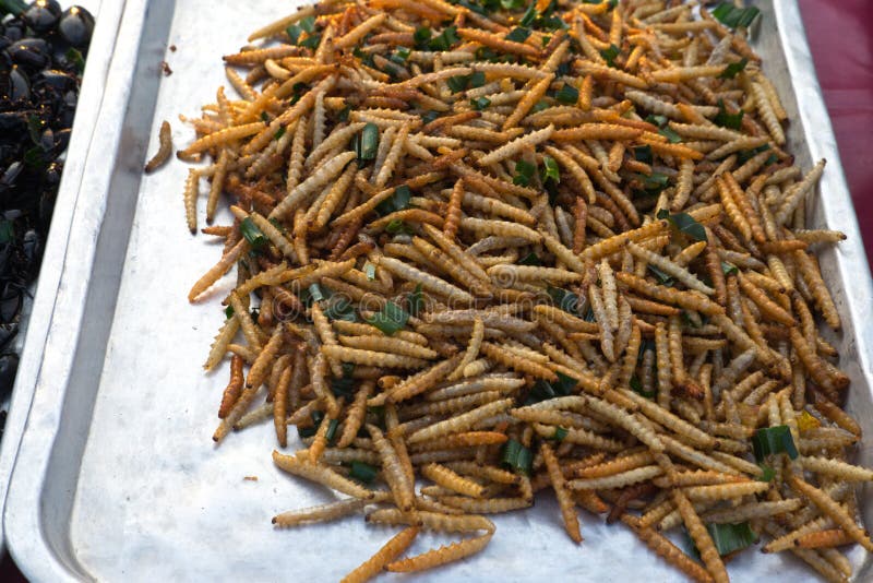 Thai Food At Market. Fried Mealworms Stock Photo - Image of locust ...