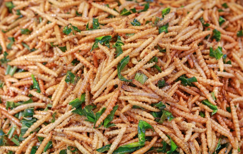 Fried Insects, Thailand Famous Street Food Stock Photo - Image of ...