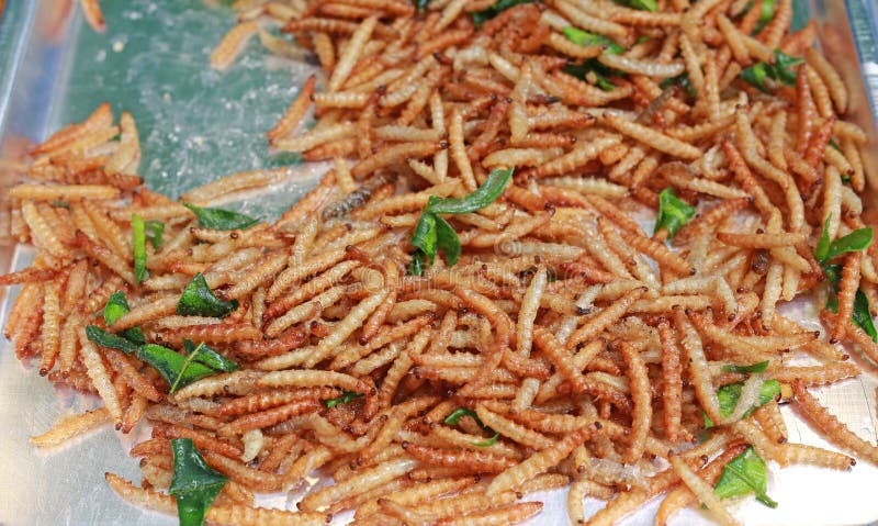 Fried Insects, Thailand Famous Street Food Stock Photo - Image of ...