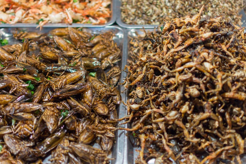 Fried insects various types