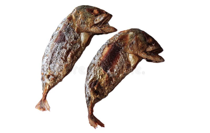 Fried mackerel, colorful and appetizing royalty free stock image