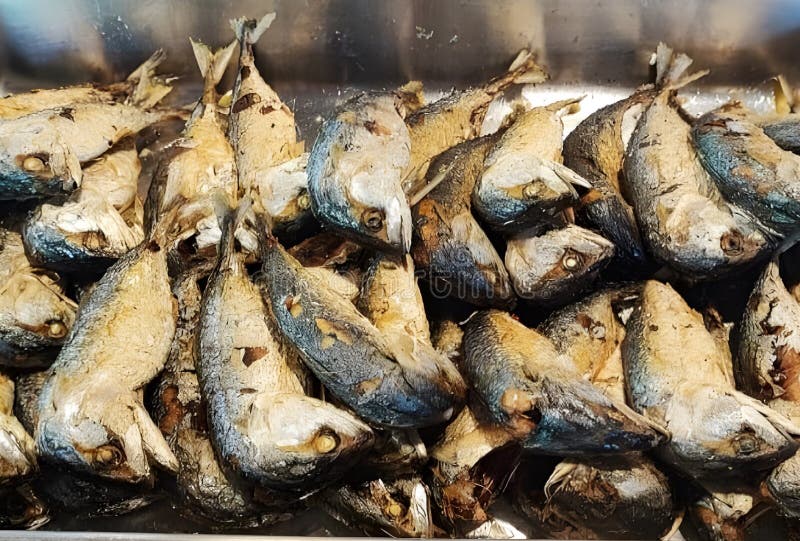 Fried Mackerel , Delicious and Crispy Stock Photo Image of colorful