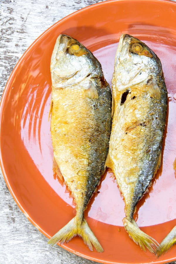 Fried Mackerel stock photo. Image of fired, nutrition 53872644