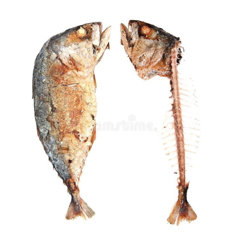 Fried mackerel Fish stock images