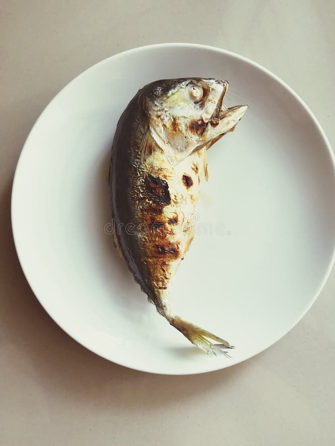Fried Mackerel Fish on the Dish, Easy Food Manu Stock Photo Image of