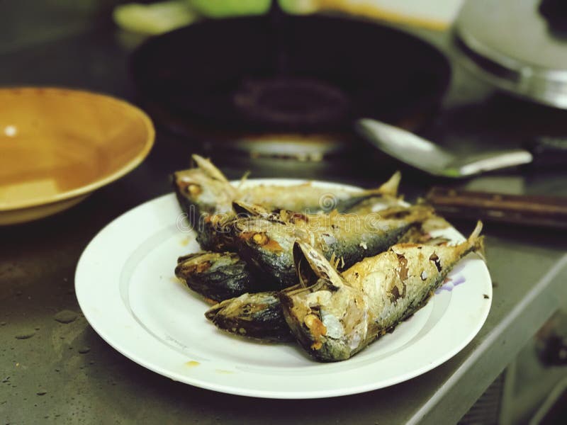 Fried mackerel fish on the dish stock image