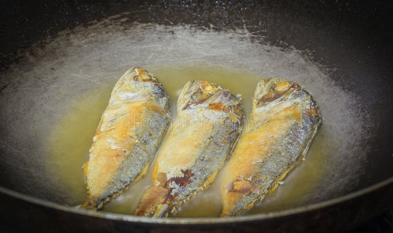 Fried Mackerel stock photography