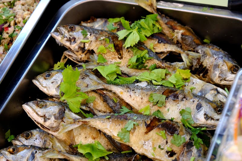 Fried mackerel stock image. Image of diet, healthy, pepper 67696165
