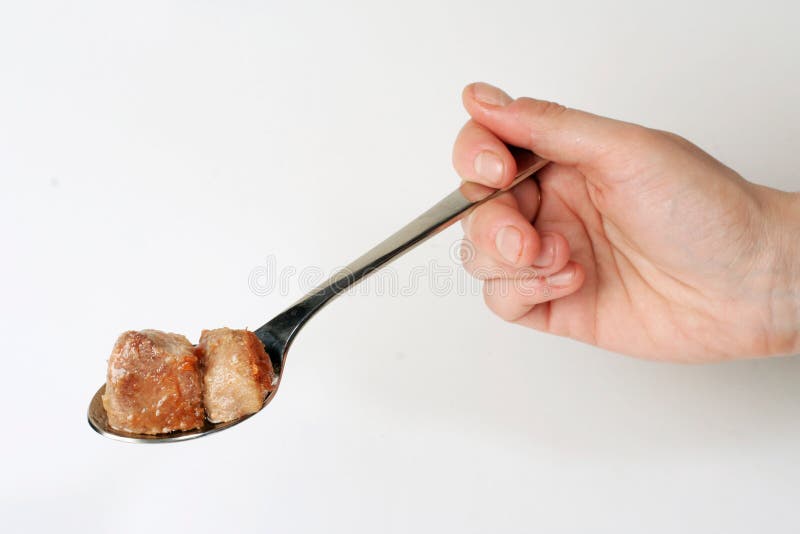 Fried meat on spoon stock image. Image of kitchen, preparation 3813367