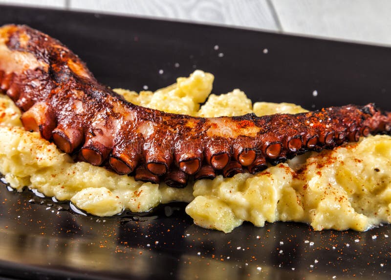Fried Octopus Tentacle with Paprika and Salt. Stock Photo Image of