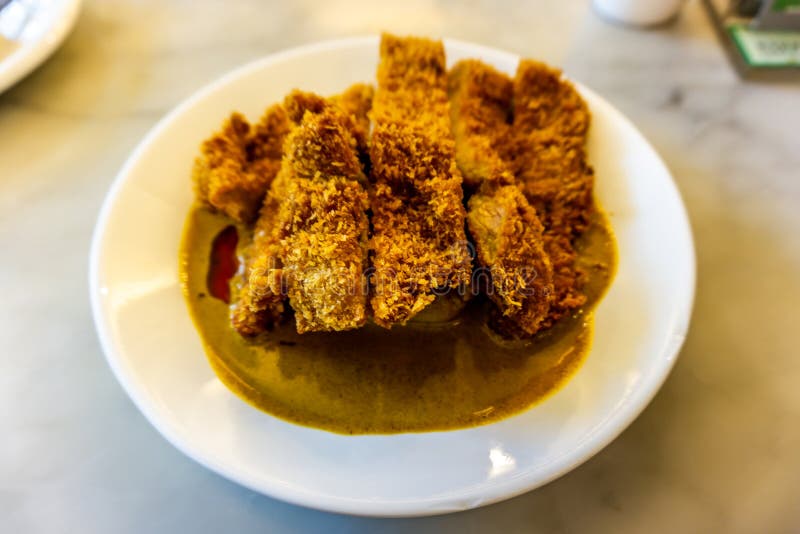 Fried Pork Cutlet with Curry Stock Photo Image of food, mixed 134092546