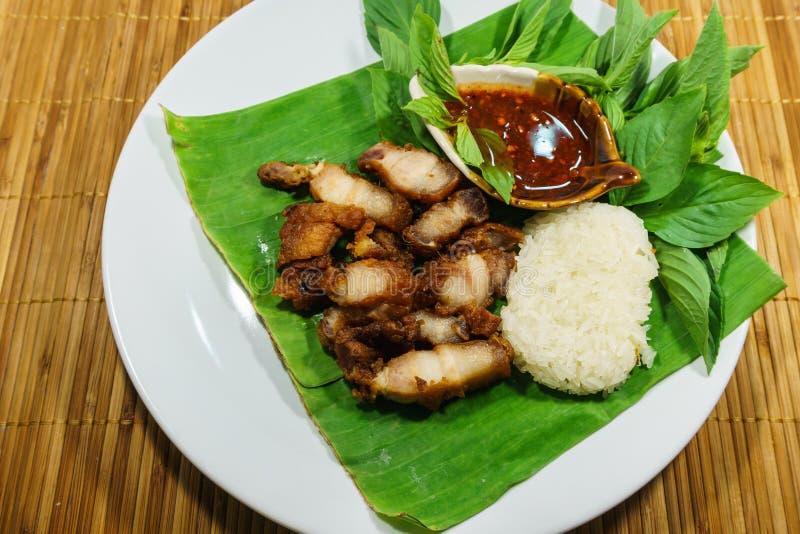 Fried Pork and Sticky Rice with Sauce on Dish Stock Image Image of