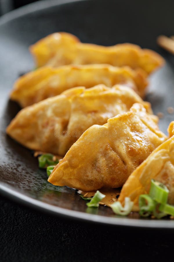 Fried potstickers or dumplings royalty free stock photography Fried potstickers or dumplings royalty free stock photography
