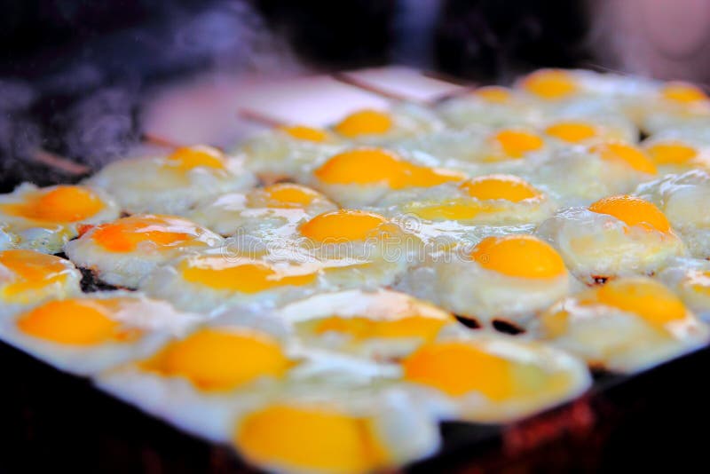 Fried Quail Eggs on Electric Grill Stock Image Image of quail