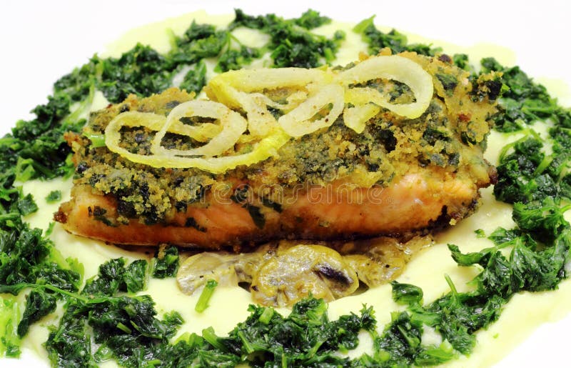 Fried salmon fillet stock image. Image of fillet, heat 27281279