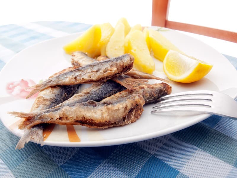 Fried sardines stock photo. Image of seafood, healthy 23618096