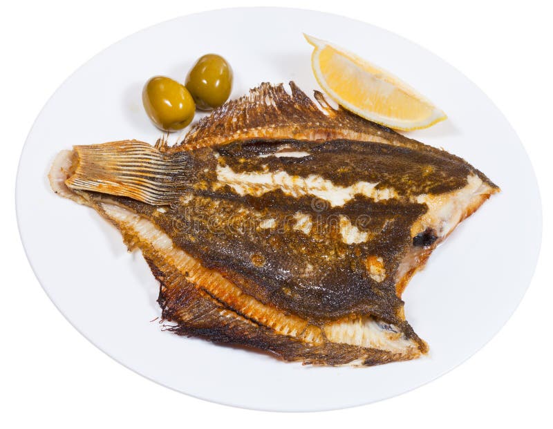Fried Sole Fish on White Background Stock Photo Image of olive, meal