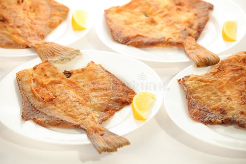 Fried Sole Fish on White Plate with Lemon Stock Photo Image of flat