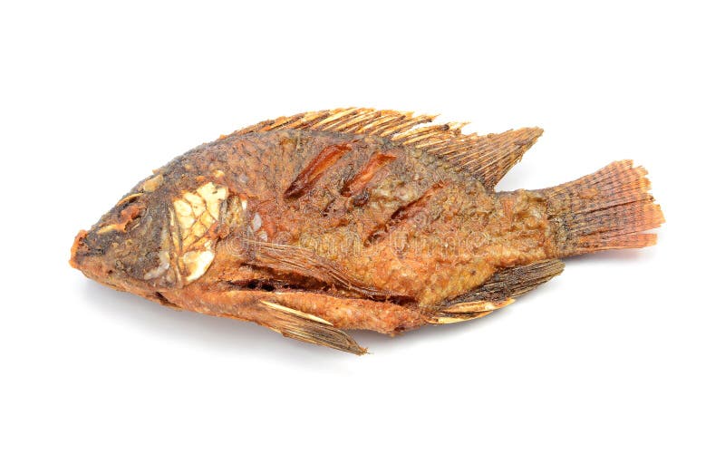 Fried Tilapia Fish Fried Isolated on White Background Stock Image