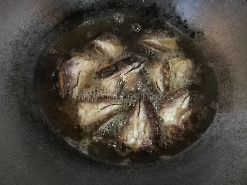 Fried Tilapia Fish in a Frying Pan with Hot Oil Stock Image Image of