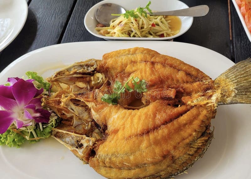 Fried Tilapia Fish with Lemon Sauce Stock Photo Image of grilled