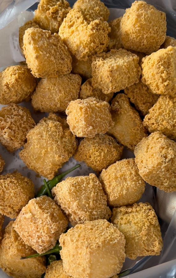 Fried tofu pieces stock image. Image of crispy, serve - 270441483
