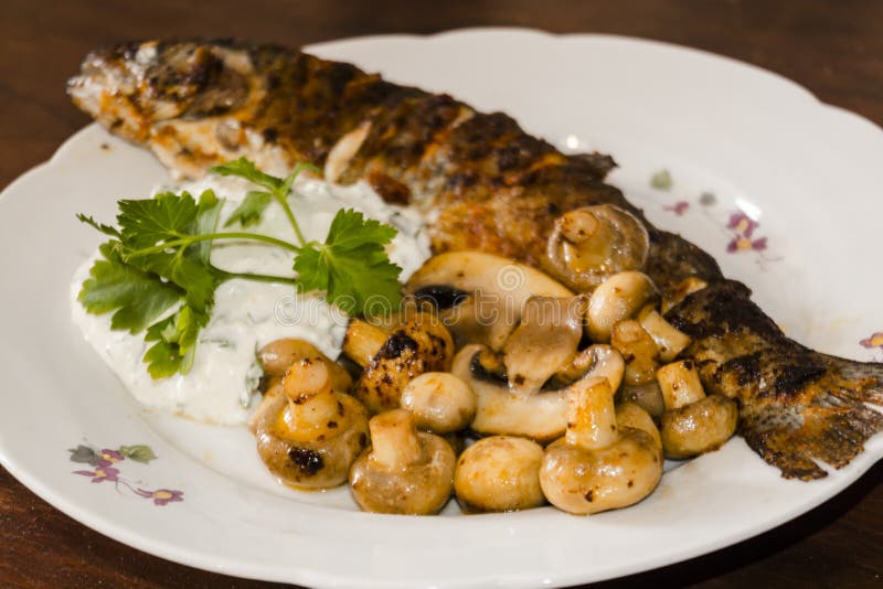 Fried Trout, Mushroom and Cottage Cheese Sauce Stock Photo Image of