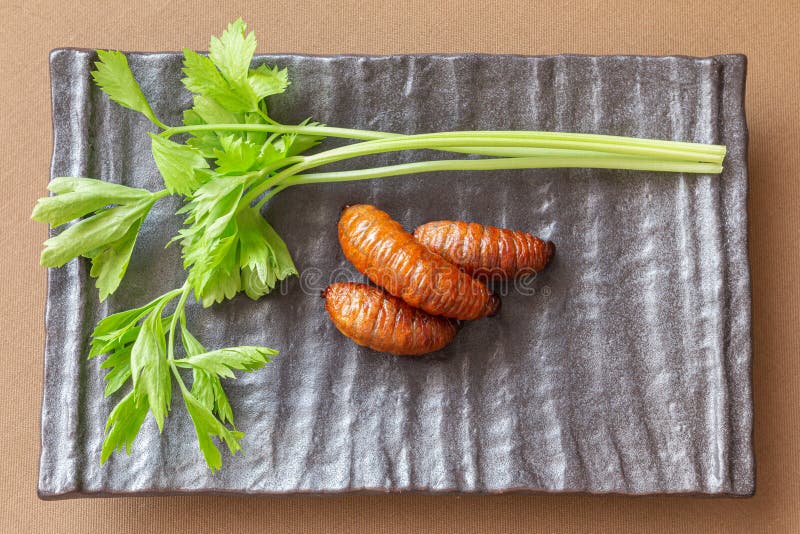 Fried Worm, Insect Food with Vegetables in the Brown Bowl. Top View