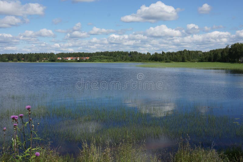Friedliche Sommerszene in Finnland stockfoto