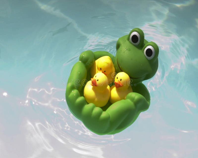 Green plastic frog giving a ride to her friends the yellow rubber ducks in the pool. Green plastic frog giving a ride to her friends the yellow rubber ducks in the pool.