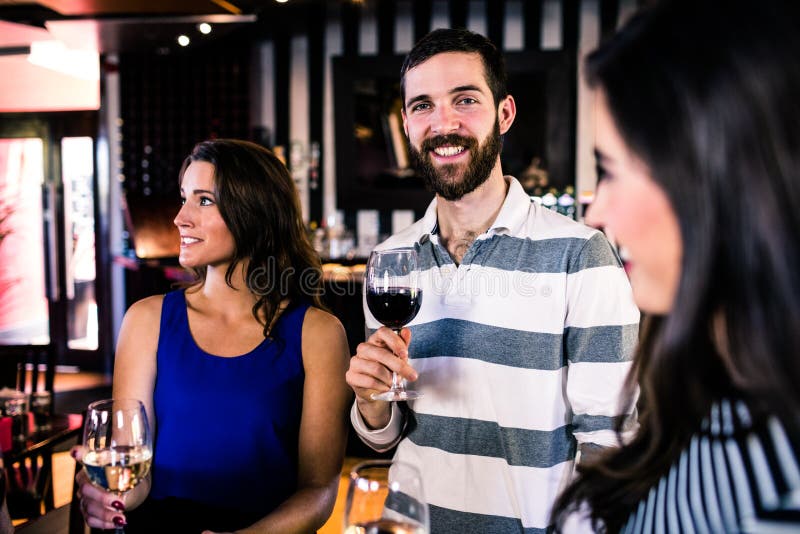 Friends Having a Glass of Wine Stock Image Image of counter, conversation 66146739