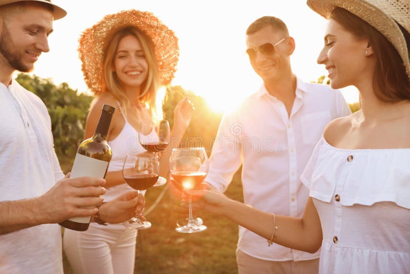 Friends tasting red wine in vineyard on sunny day