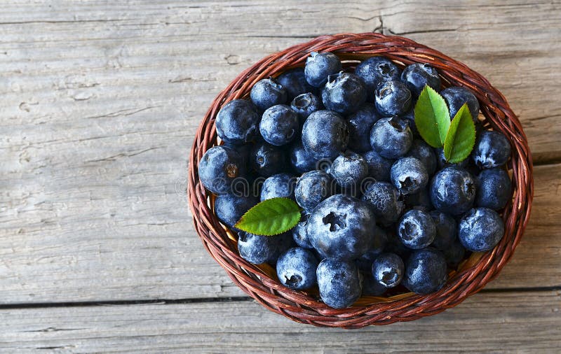 Frisch ausgewählte Blaubeeren in einem Korb auf altem hölzernem Hintergrund Frische organische Blaubeere heidelbeeren Gesunde Ern stockfotos Frisch ausgewählte Blaubeeren in einem Korb auf altem hölzernem Hintergrund Frische organische Blaubeere heidelbeeren Gesunde Ern stockfotos