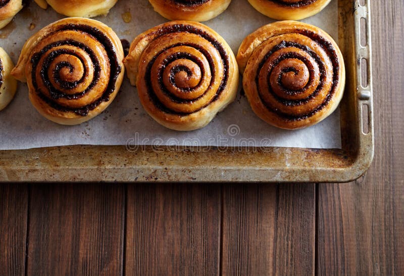Frisch gebackene Zimtgebäckbrötchen mit Kakao und Gewürzen auf einem Metallbackblech Nahaufnahme Beschneidungspfad eingeschlossen lizenzfreies stockbild