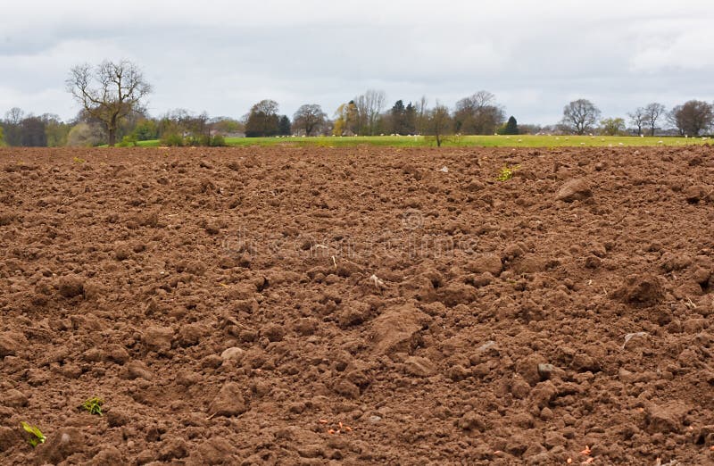 A freshly dug and recently seeded agricultural field, good background for farming. A freshly dug and recently seeded agricultural field, good background for farming
