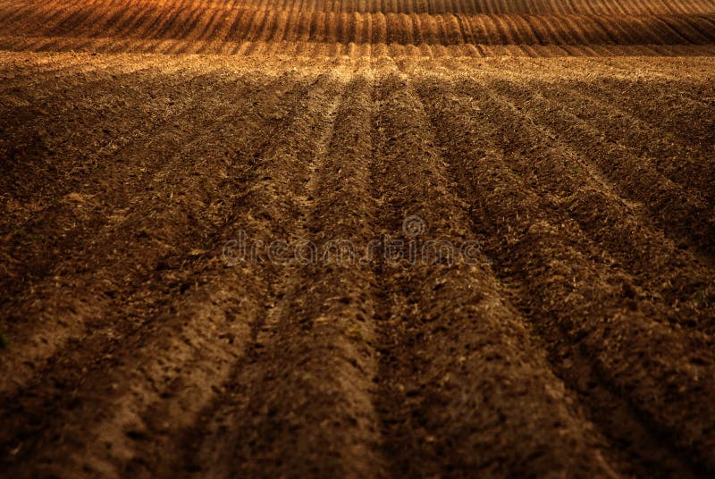 Frisch gepflogenes Bauernhof-Feld für die Landwirtschaft lizenzfreies stockfoto Frisch gepflogenes Bauernhof-Feld für die Landwirtschaft lizenzfreies stockfoto