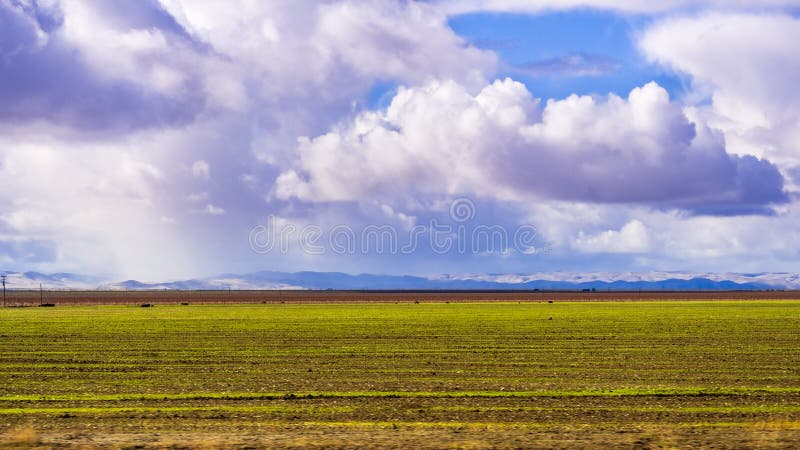 Newly sprouting crop on a field in California Central Valley; storm clouds covering the sky; the California Central Valley, a major agricultural region, lives constantly under the threat of drought. Newly sprouting crop on a field in California Central Valley; storm clouds covering the sky; the California Central Valley, a major agricultural region, lives constantly under the threat of drought